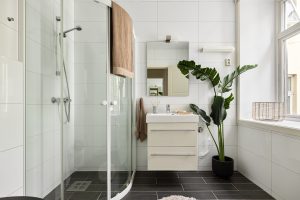 Clean-bathroom