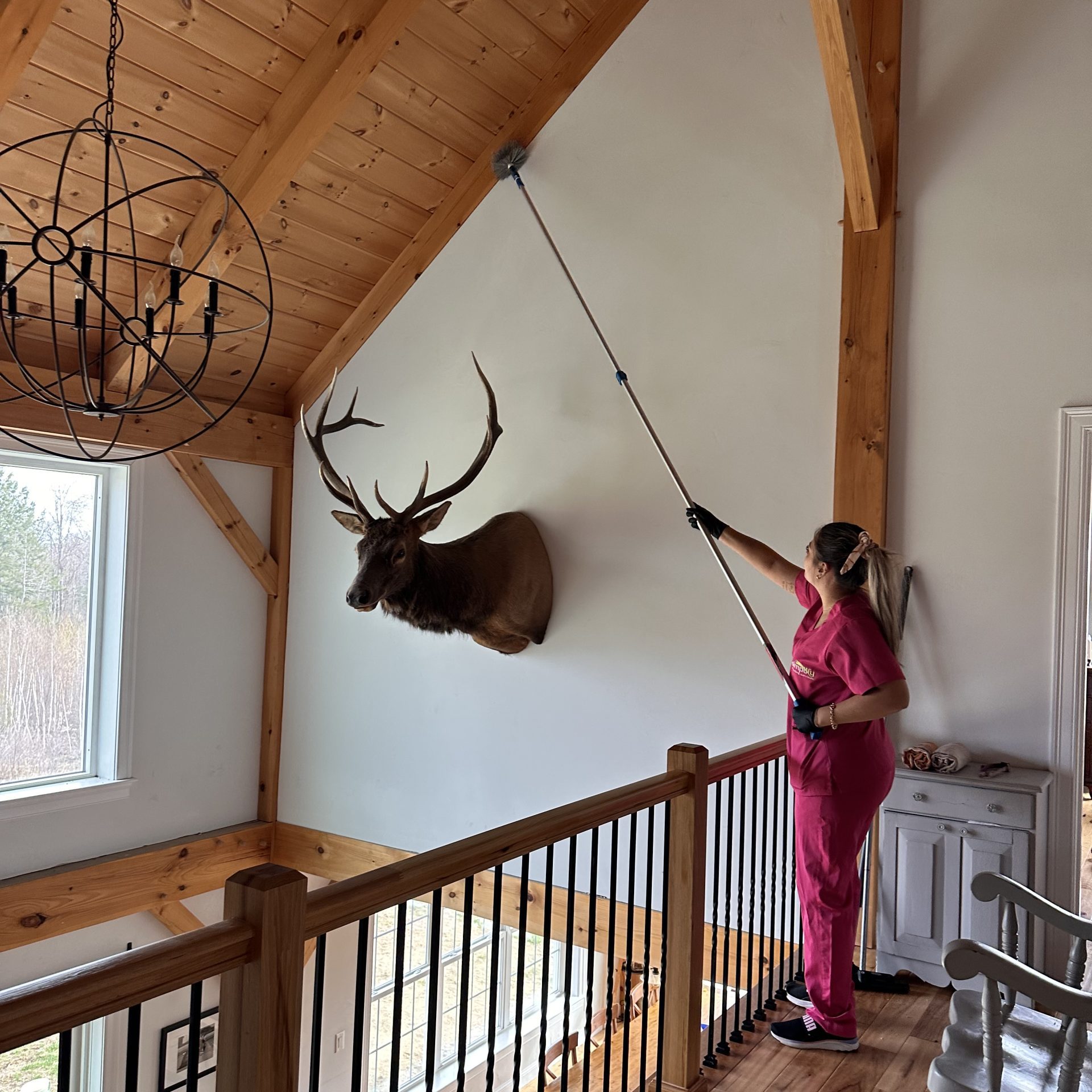 simplify professional cleaning