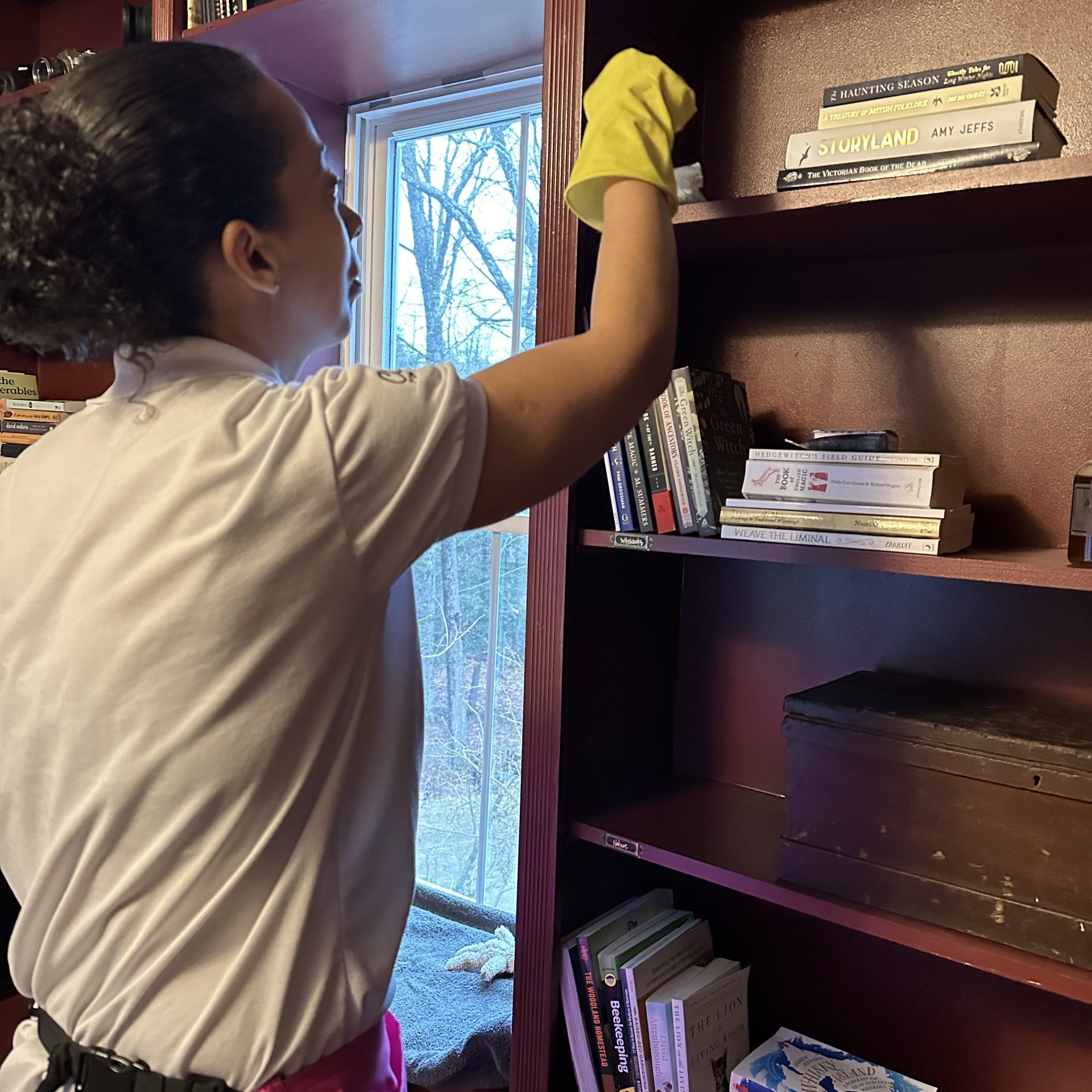 Bookshelf being cleaned with professionalism, ensuring a pristine environment