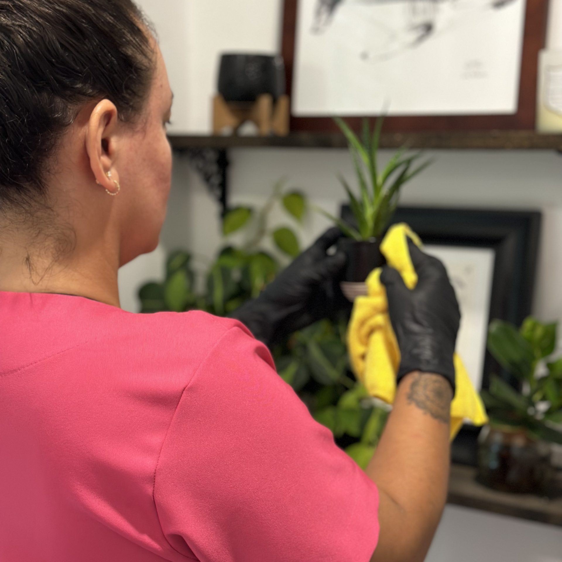 Professional cleaner from Simplify Cleaning Services wearing pink scrubs and black gloves, carefully dusting a small potted plant and shelving unit with a yellow microfiber cloth.