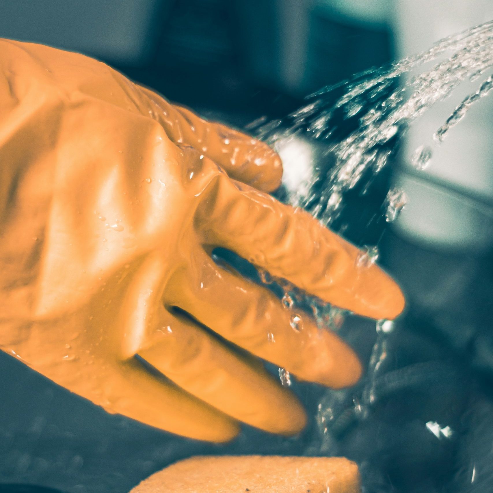 gloved cleaner, guaranteeing a spotless service